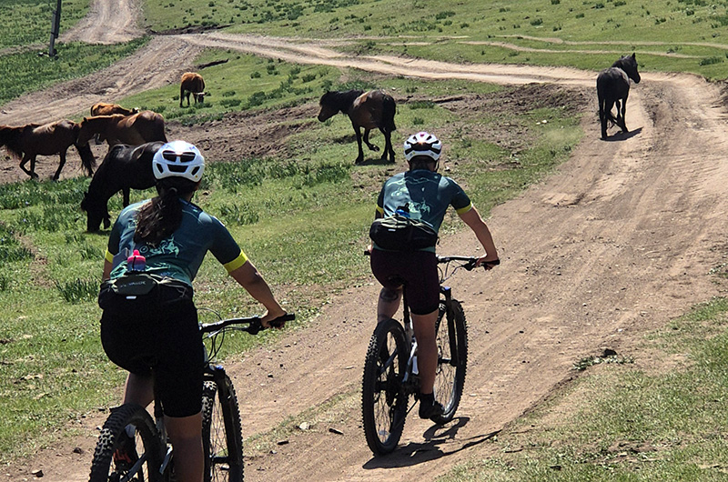 Mountain biking tour in Mongolia